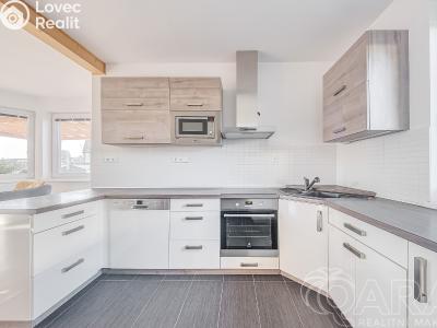 Продажа семейного дома Nová Ves pod Pleší, Světlá 461 č. 6