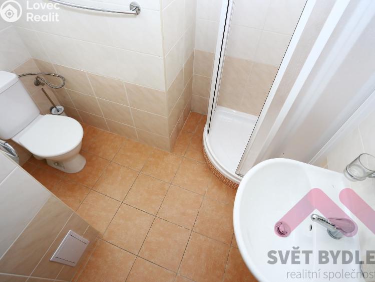 Pronájem bytu 2+1 Praha, Tolstého 1010/2 č. 11