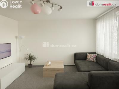 Pronájem bytu 2+1 Ústí nad Labem, Jana Zajíce č. 3