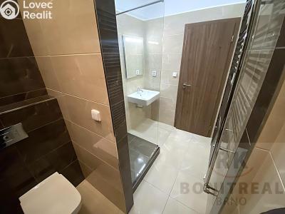 Pronájem bytu 1+1 Brno, Olomoucká č. 4