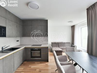 Rent apartment 2+KK Praha, Karla Guta č. 3