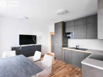 Rent apartment 2+KK Praha, Karla Guta č. 6