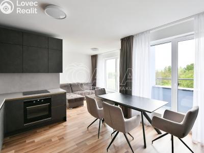 Rent apartment 2+KK Praha, Karla Guta č. 2