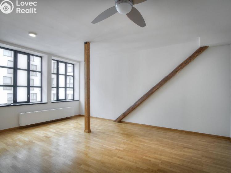 Rent apartment 1+KK Praha, Kaizlovy sady č. 1