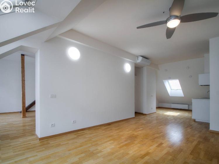 Rent apartment 1+KK Praha, Kaizlovy sady č. 5