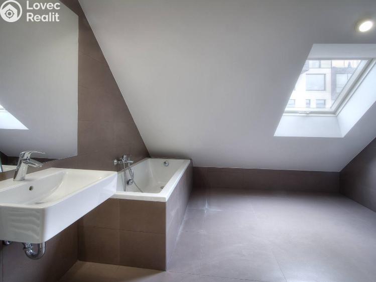 Rent apartment 1+KK Praha, Kaizlovy sady č. 6