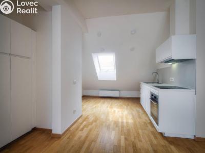 Оренда квартири 1+KK Praha, Kaizlovy sady č. 2