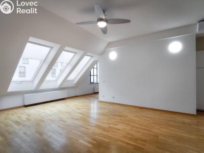 Оренда квартири 1+KK Praha, Kaizlovy sady č. 3