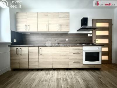 Pronájem bytu 2+1 Dubí, Ruská č. 1