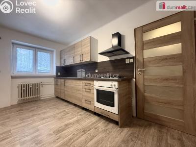 Pronájem bytu 2+1 Dubí, Ruská č. 2