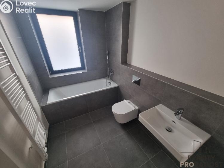 Pronájem bytu 2+KK Mladá Boleslav č. 7