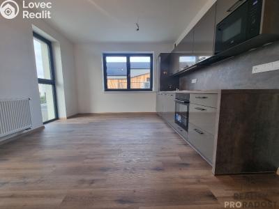 Pronájem bytu 2+KK Mladá Boleslav č. 1