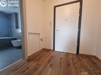 Pronájem bytu 2+KK Mladá Boleslav č. 6