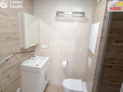 Pronájem bytu 2+1 Moravský Krumlov, Sídliště č. 6