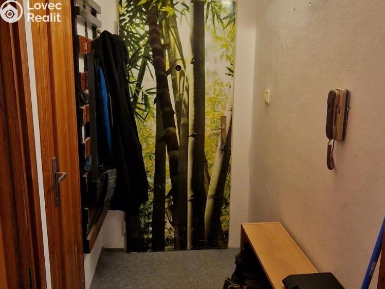 Продажа квартиры 1+1 Blansko, Bezručova č. 5