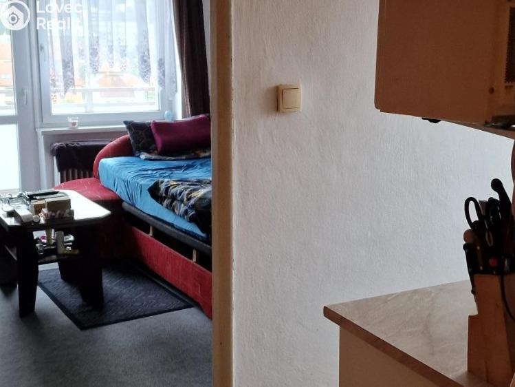 Продажа квартиры 1+1 Blansko, Bezručova č. 9