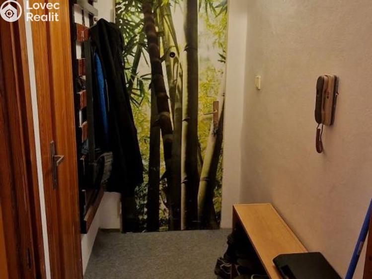 Продажа квартиры 1+1 Blansko, Bezručova č. 15