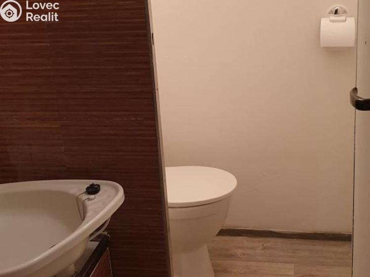 Продажа квартиры 1+1 Blansko, Bezručova č. 18