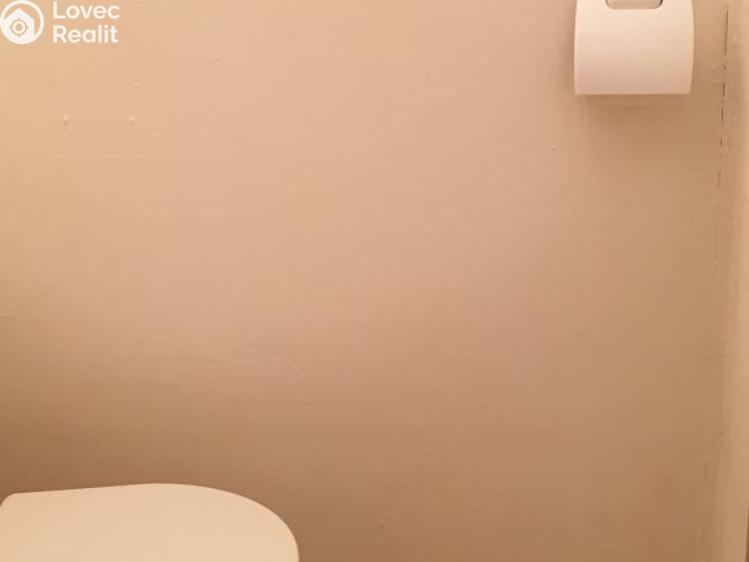 Продажа квартиры 1+1 Blansko, Bezručova č. 19