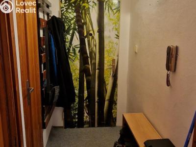 Продажа квартиры 1+1 Blansko, Bezručova č. 5