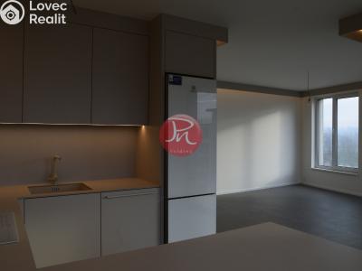 Pronájem bytu 1+KK Ostrava, F. X. Riepla č. 4