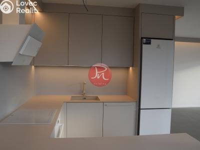 Pronájem bytu 1+KK Ostrava, F. X. Riepla č. 1