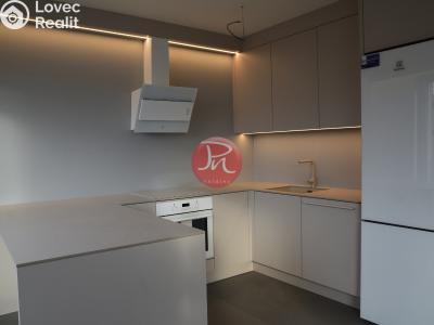 Pronájem bytu 1+KK Ostrava, F. X. Riepla č. 2