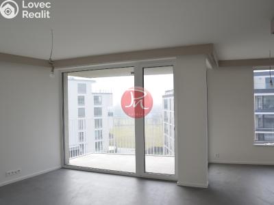 Pronájem bytu 1+KK Ostrava, F. X. Riepla č. 5