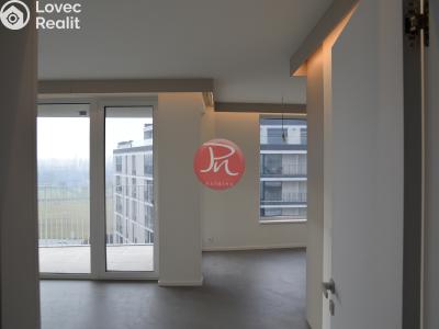 Pronájem bytu 1+KK Ostrava, F. X. Riepla č. 6