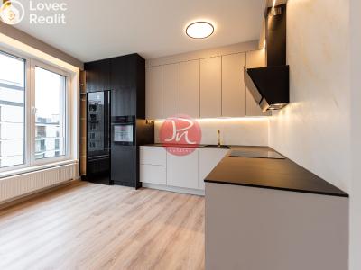 Оренда квартири 2+KK Ostrava, F. X. Riepla č. 2