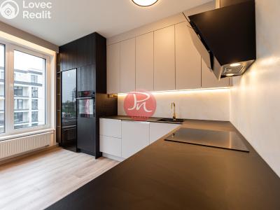 Оренда квартири 2+KK Ostrava, F. X. Riepla č. 3