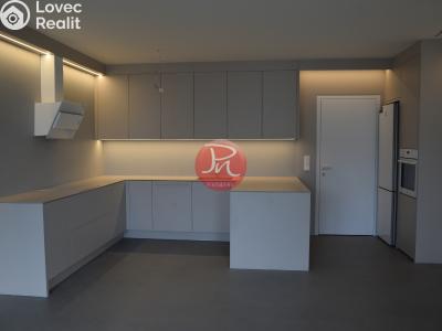 Pronájem bytu 2+KK Ostrava, F. X. Riepla č. 1