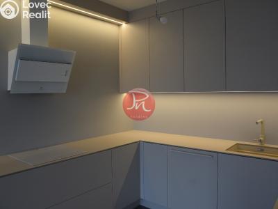 Pronájem bytu 2+KK Ostrava, F. X. Riepla č. 3