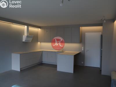 Pronájem bytu 2+KK Ostrava, F. X. Riepla č. 4