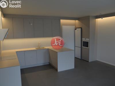 Pronájem bytu 2+KK Ostrava, F. X. Riepla č. 6