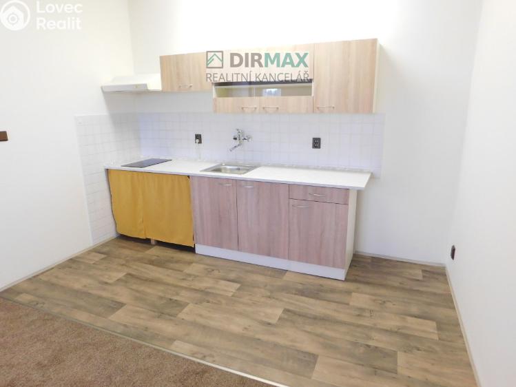 Rent apartment 1+KK Plzeň, Křížkova 16/5 č. 1