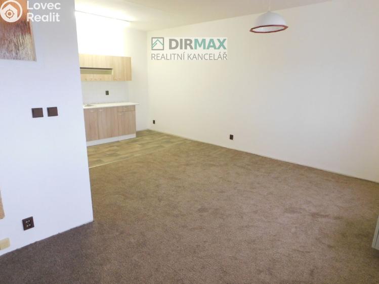 Rent apartment 1+KK Plzeň, Křížkova 16/5 č. 12