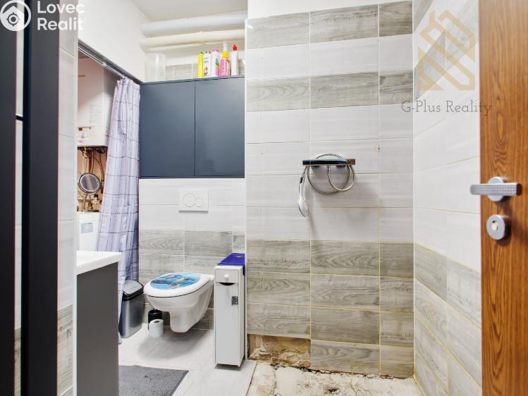 Prodej rodinného domu Zlonín, Modřínová č. 19