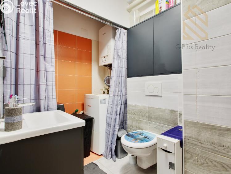 Prodej rodinného domu Zlonín, Modřínová č. 20