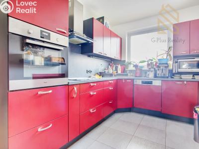 Prodej rodinného domu Zlonín, Modřínová č. 3