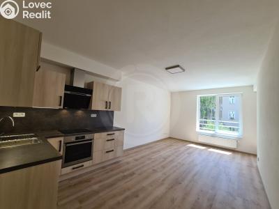 Pronájem bytu 2+KK České Budějovice, Riegrova č. 4