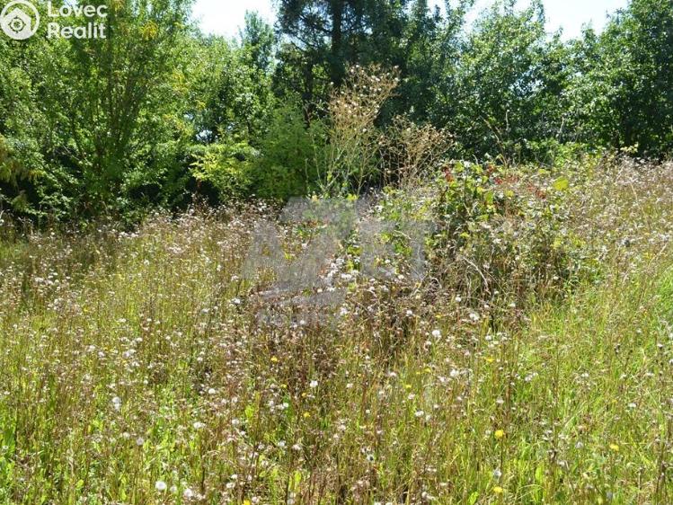 Prodej rodinného domu Libina č. 23