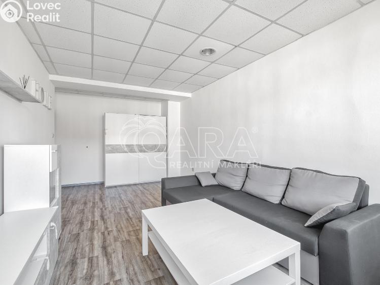 Pronájem bytu 2+1 Nový Jičín, Vančurova č. 10