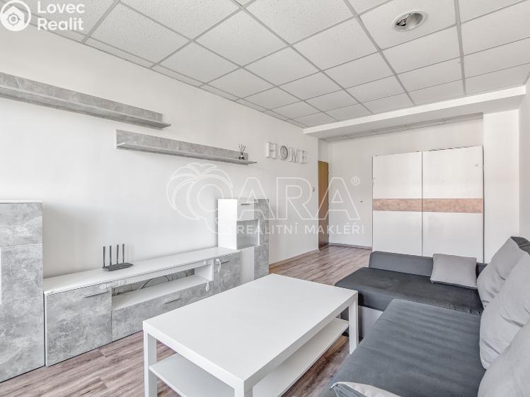 Pronájem bytu 2+1 Nový Jičín, Vančurova č. 11