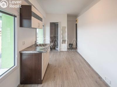 Pronájem bytu 1+KK Neratovice, Kojetická 1025 č. 2