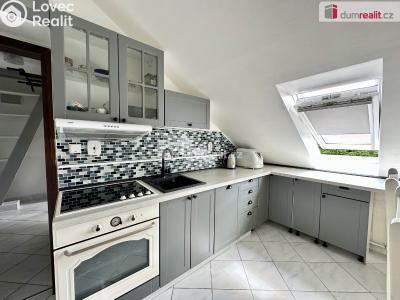 Pronájem bytu 2+1 Ostrov, Kollárova č. 1