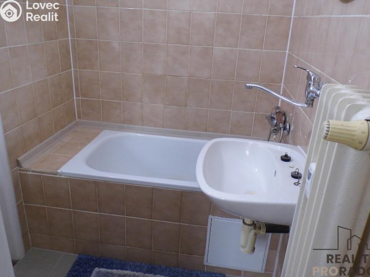 Pronájem bytu 1+KK Ústí nad Labem, Sociální péče č. 6