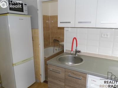 Pronájem bytu 1+KK Ústí nad Labem, Sociální péče č. 5