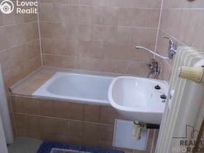 Pronájem bytu 1+KK Ústí nad Labem, Sociální péče č. 6