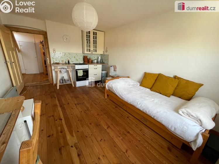 Prodej rodinného domu Brumovice, Hlavní 75/56 č. 12